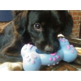 Собака - 10.jpg Собака - 10.jpg